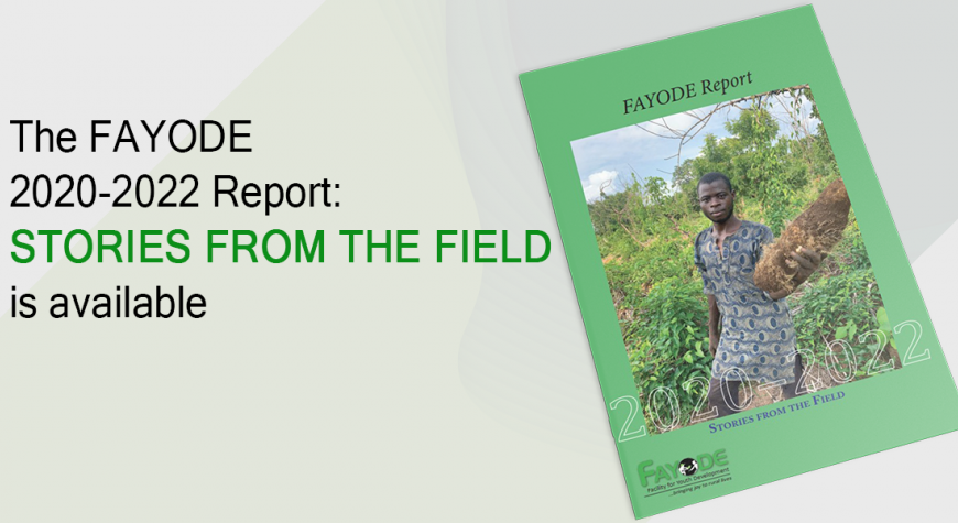 FAYODE's 2020-2022 Report Stories from the field has been released